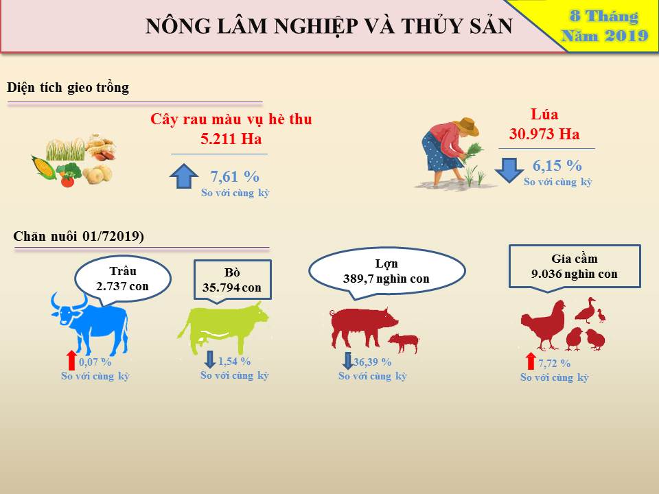 Info Tình hình kinh tế xã hội tỉnh Hưng Yên tháng 8 và 8 tháng năm 2019